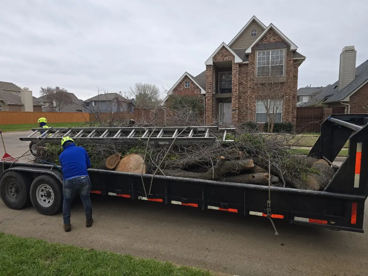 Expert Tree Fertilization with proper safety equipment in Sleetmute